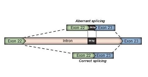 splicing