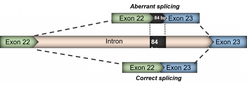 delayed replication